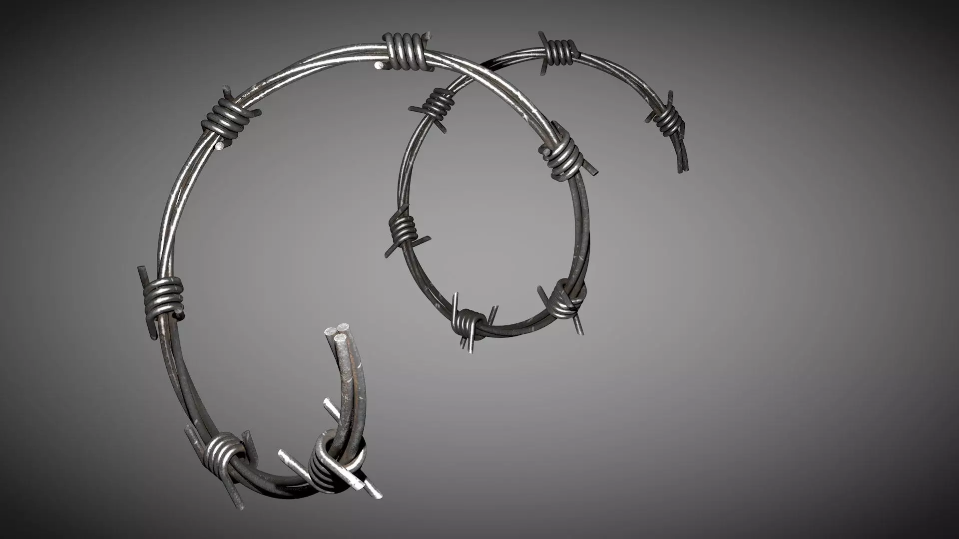 Rusty Wire and Metallic Wire 3D model_0