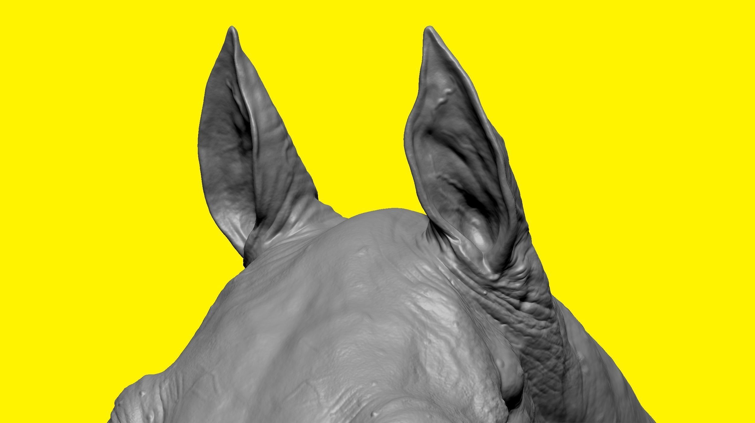 Realistic Horse Basemesh with LOD s 3D model_7