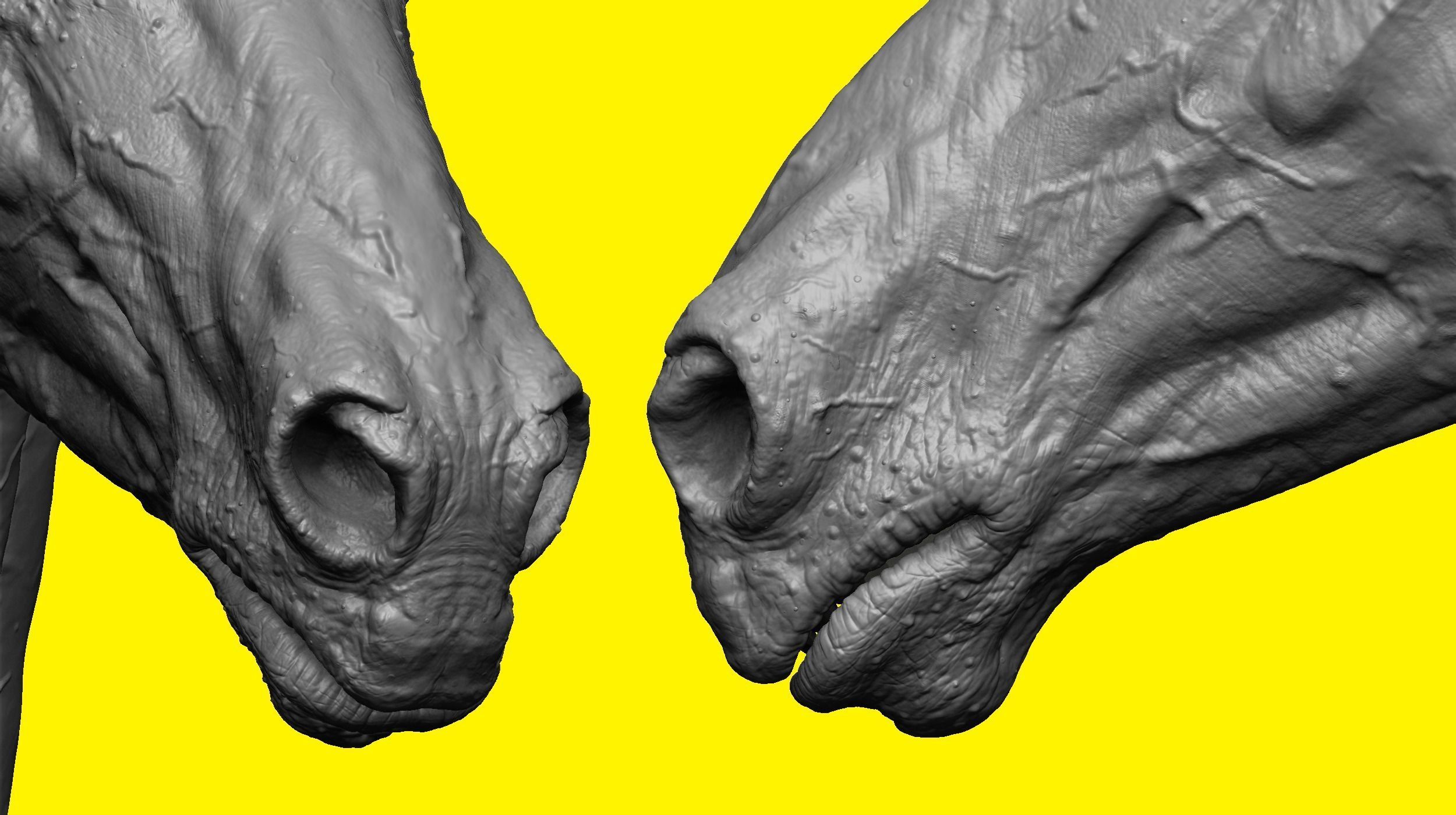 Realistic Horse Basemesh with LOD s 3D model_3