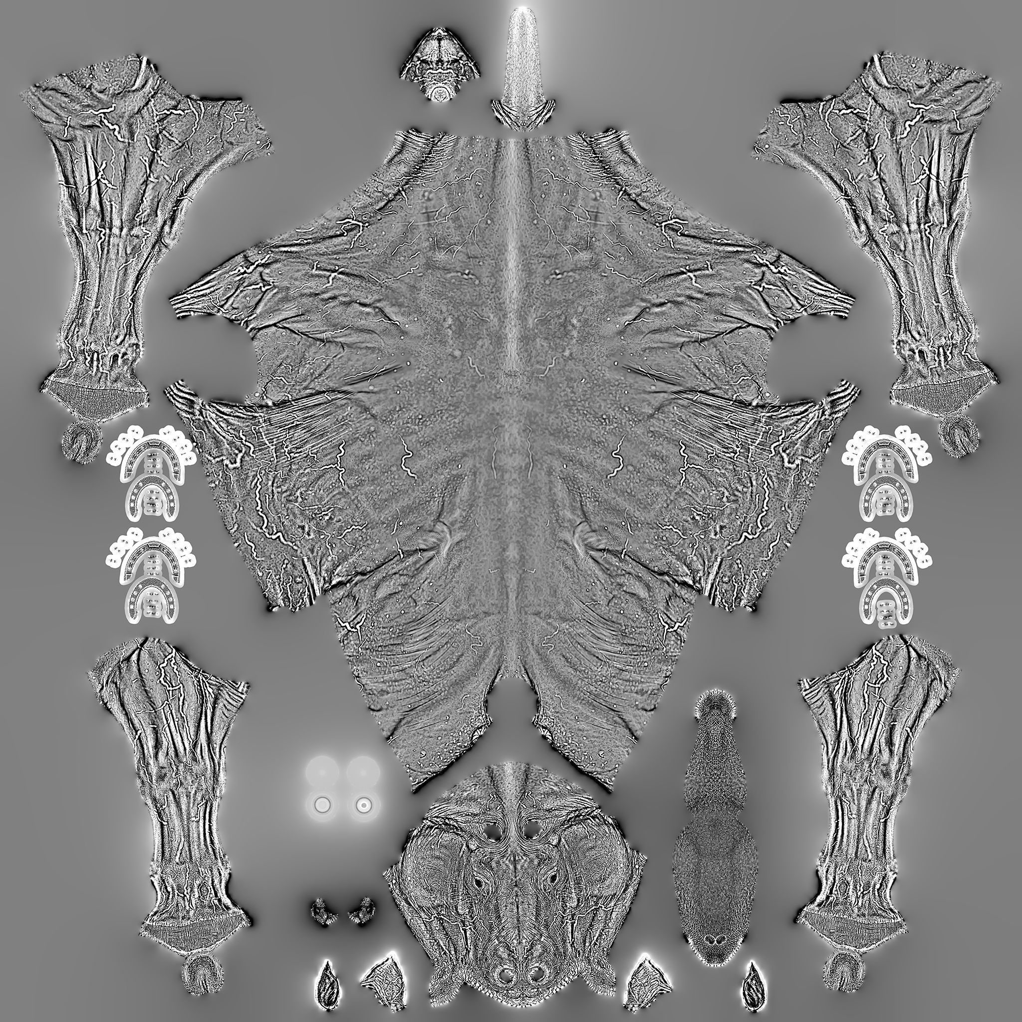 Realistic Horse Basemesh with LOD s 3D model_28