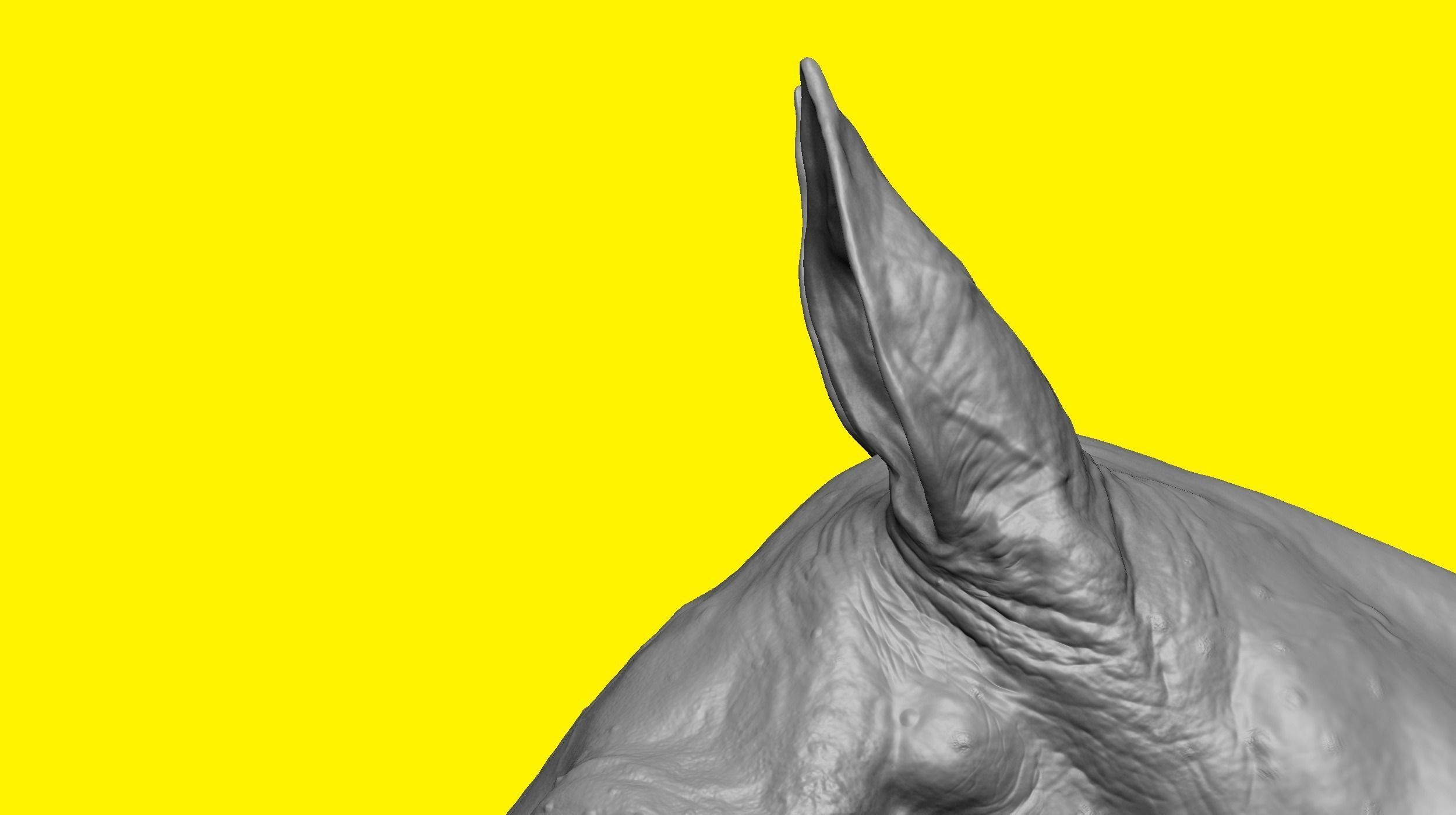 Realistic Horse Basemesh with LOD s 3D model_8