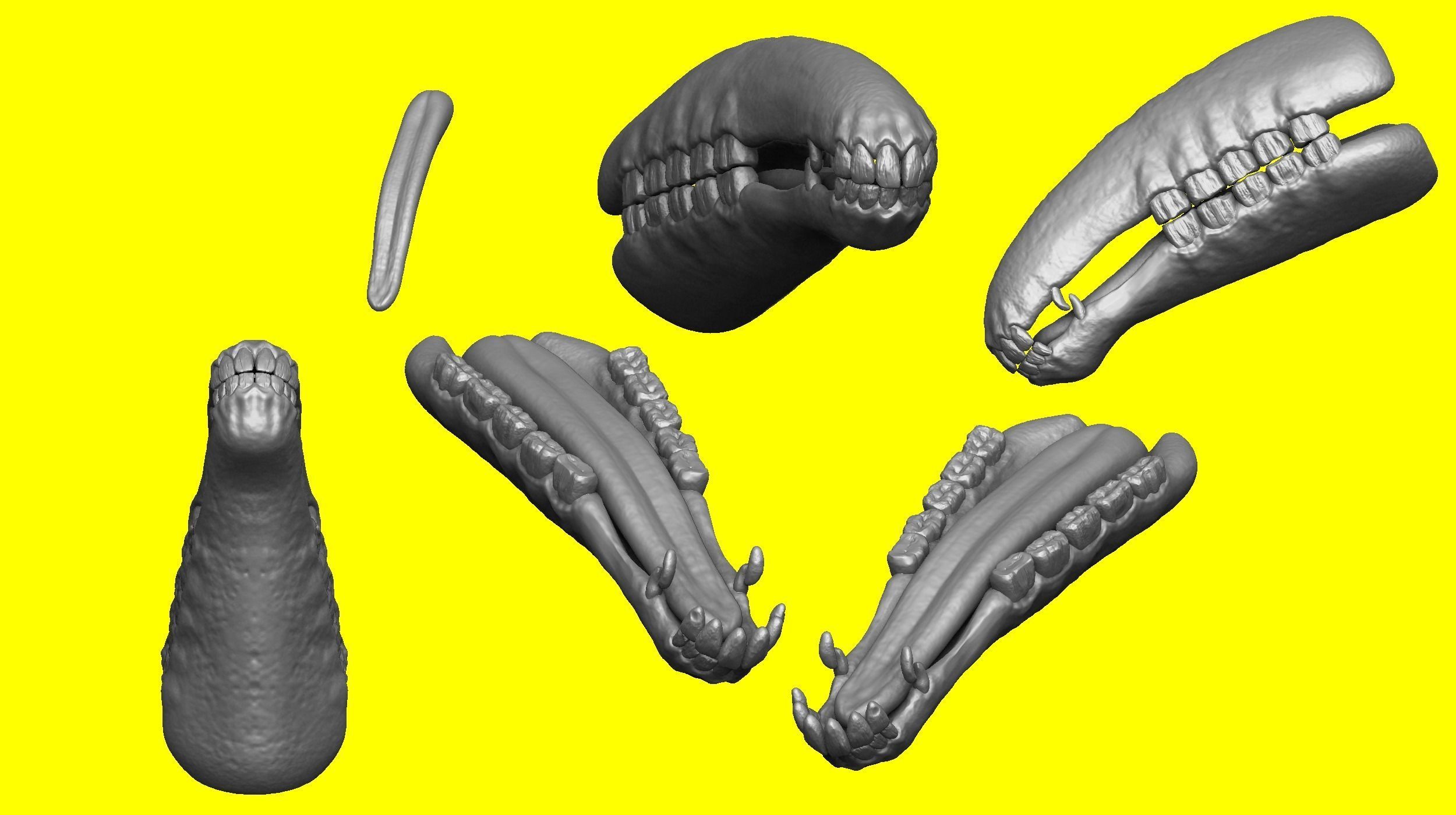 Realistic Horse Basemesh with LOD s 3D model_18