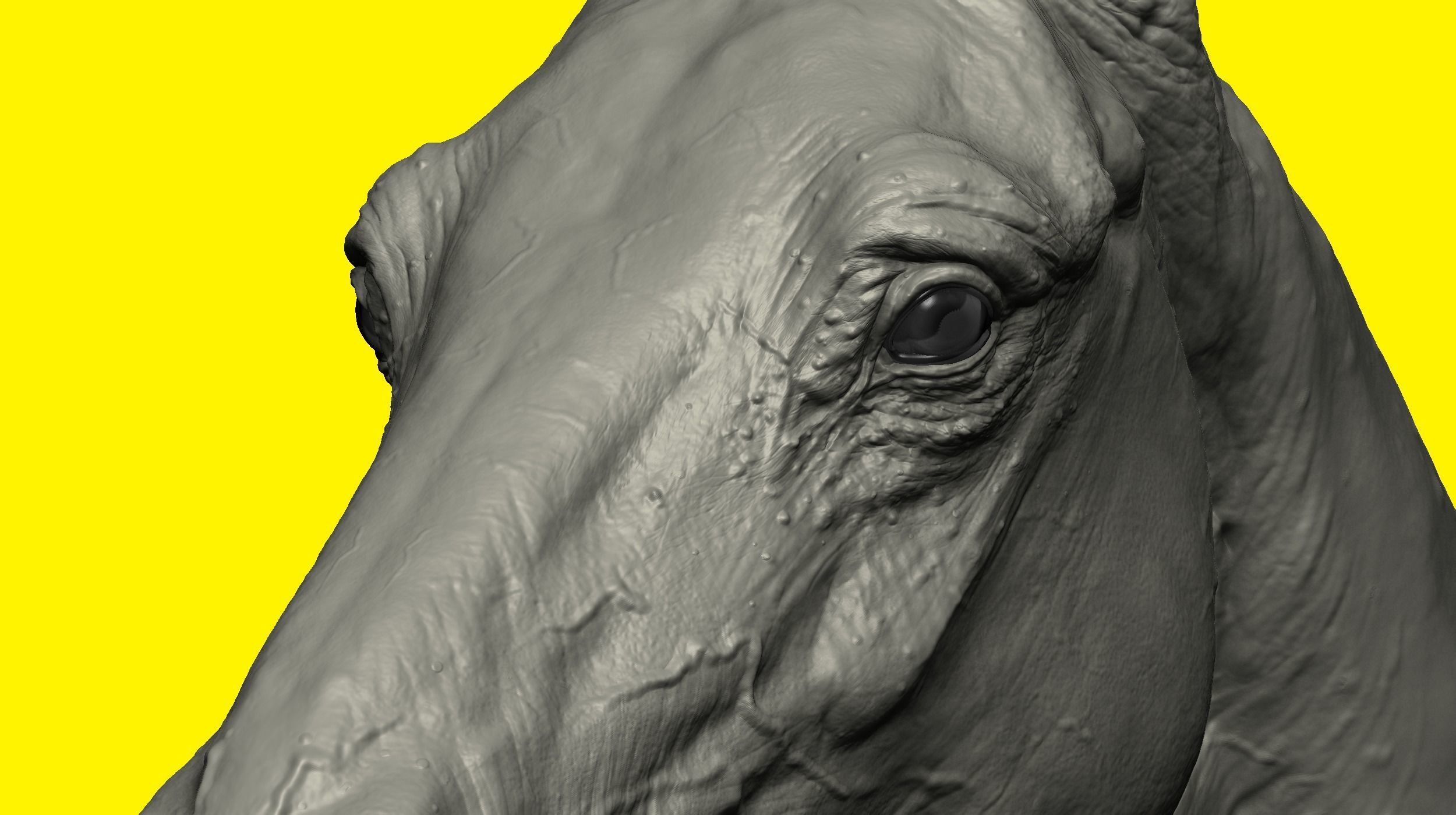 Realistic Horse Basemesh with LOD s 3D model_9