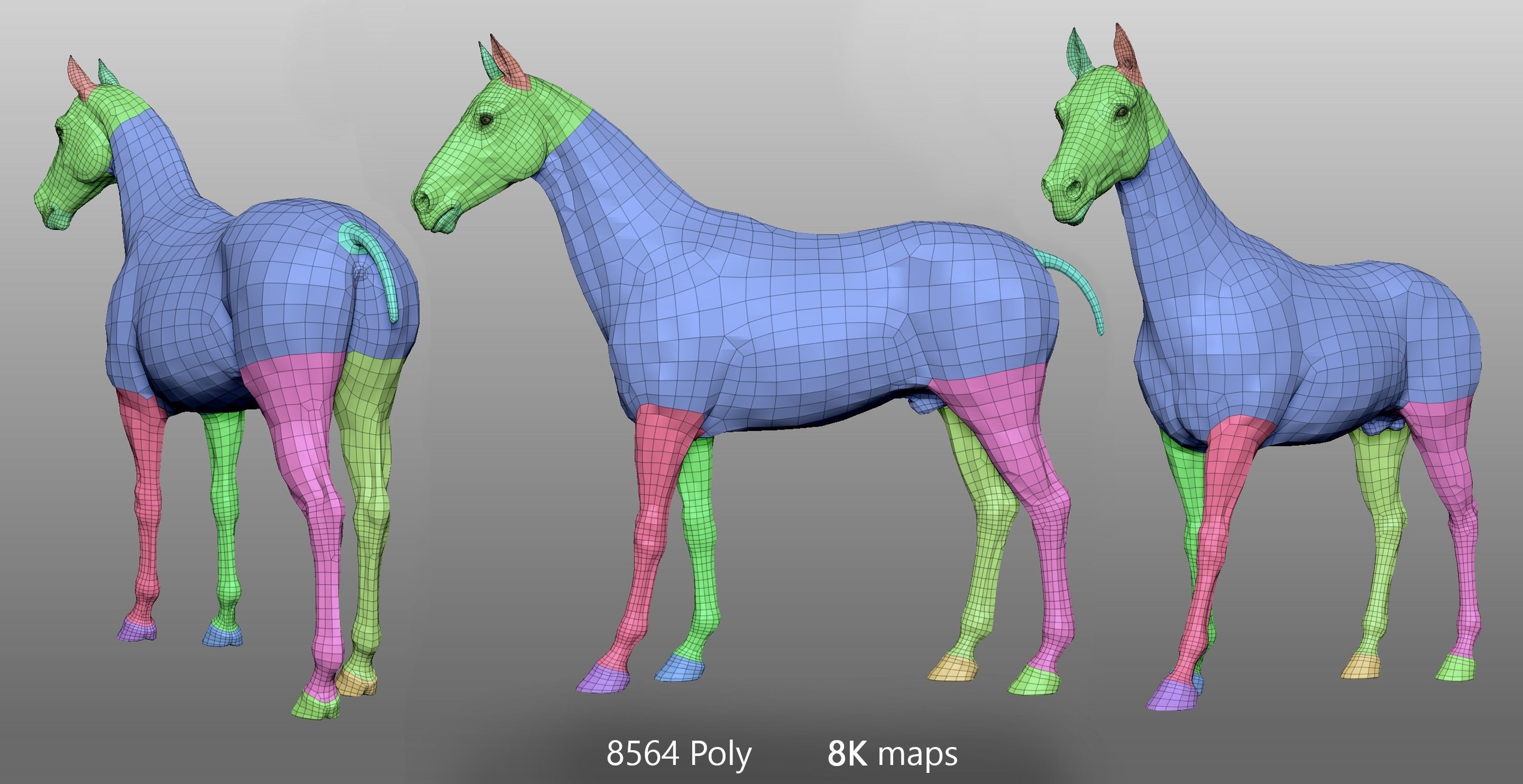 Realistic Horse Basemesh with LOD s 3D model_22