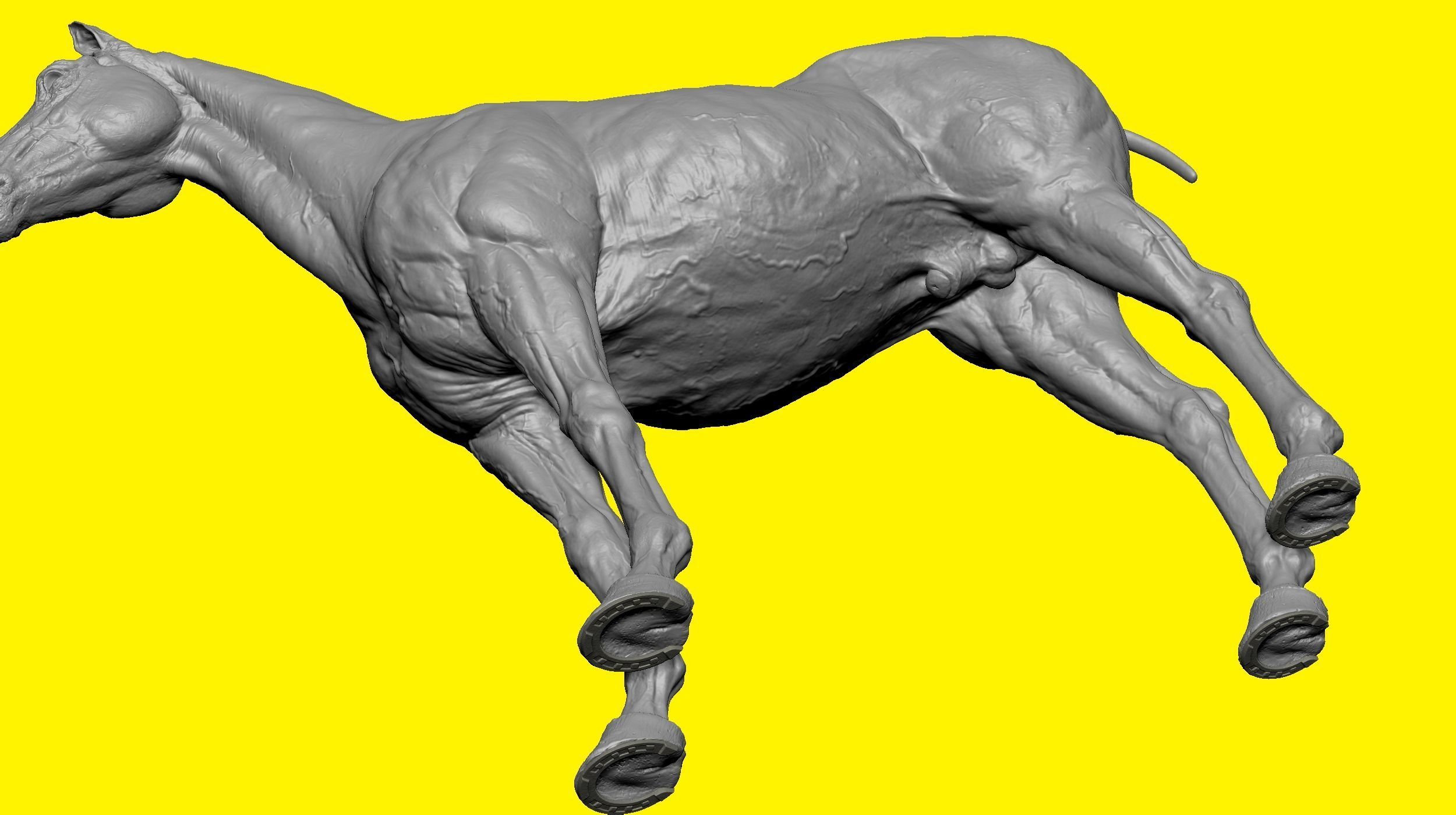 Realistic Horse Basemesh with LOD s 3D model_12