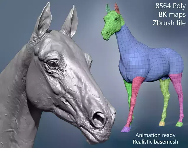 Realistic Horse Basemesh with LOD s 3D model