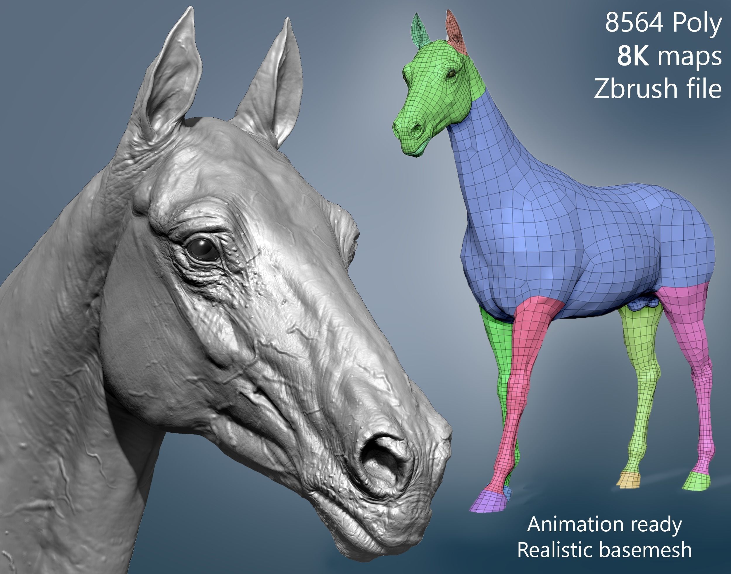 Realistic Horse Basemesh with LOD s 3D model_0