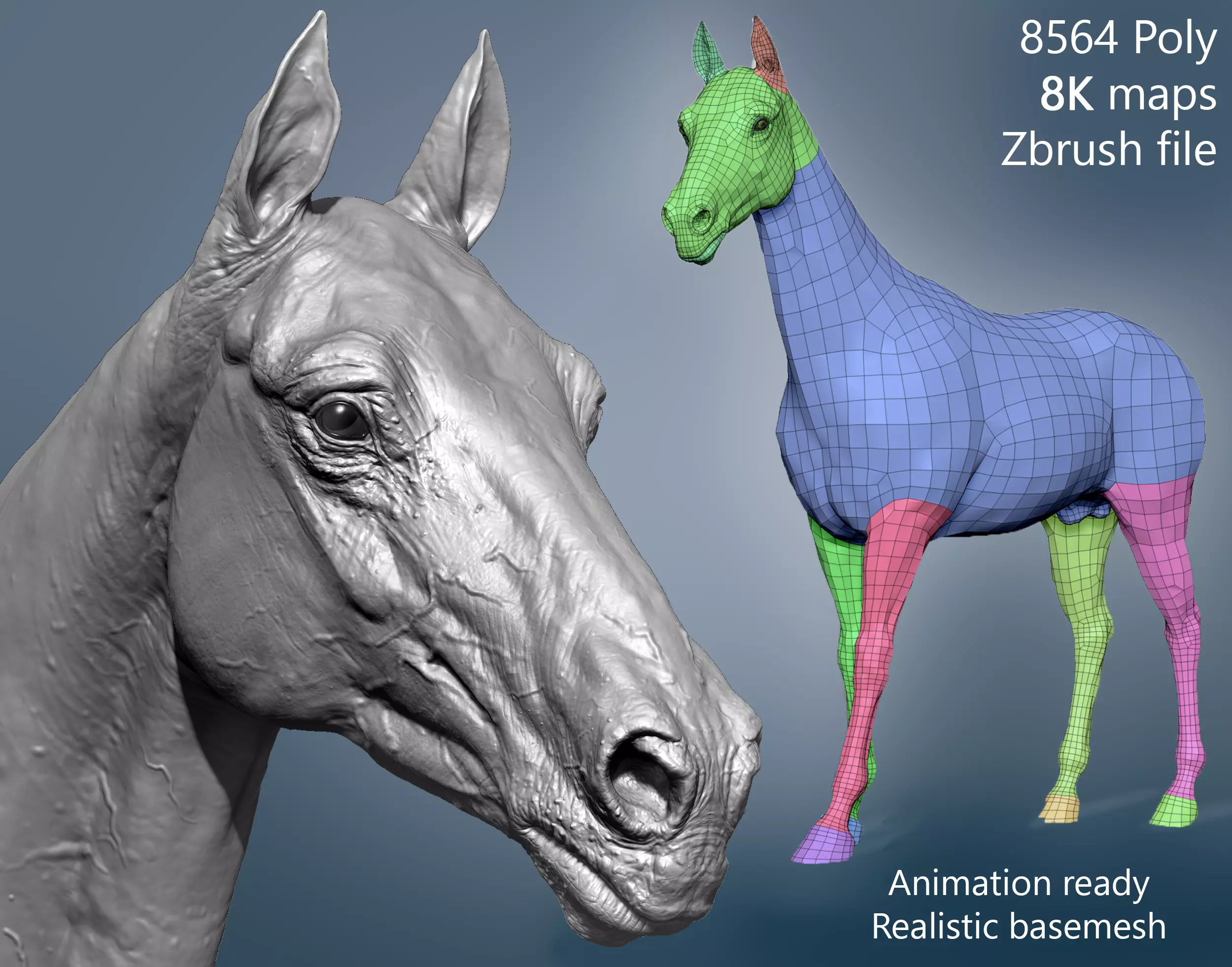Realistic Horse Basemesh with LOD s 3D model_0