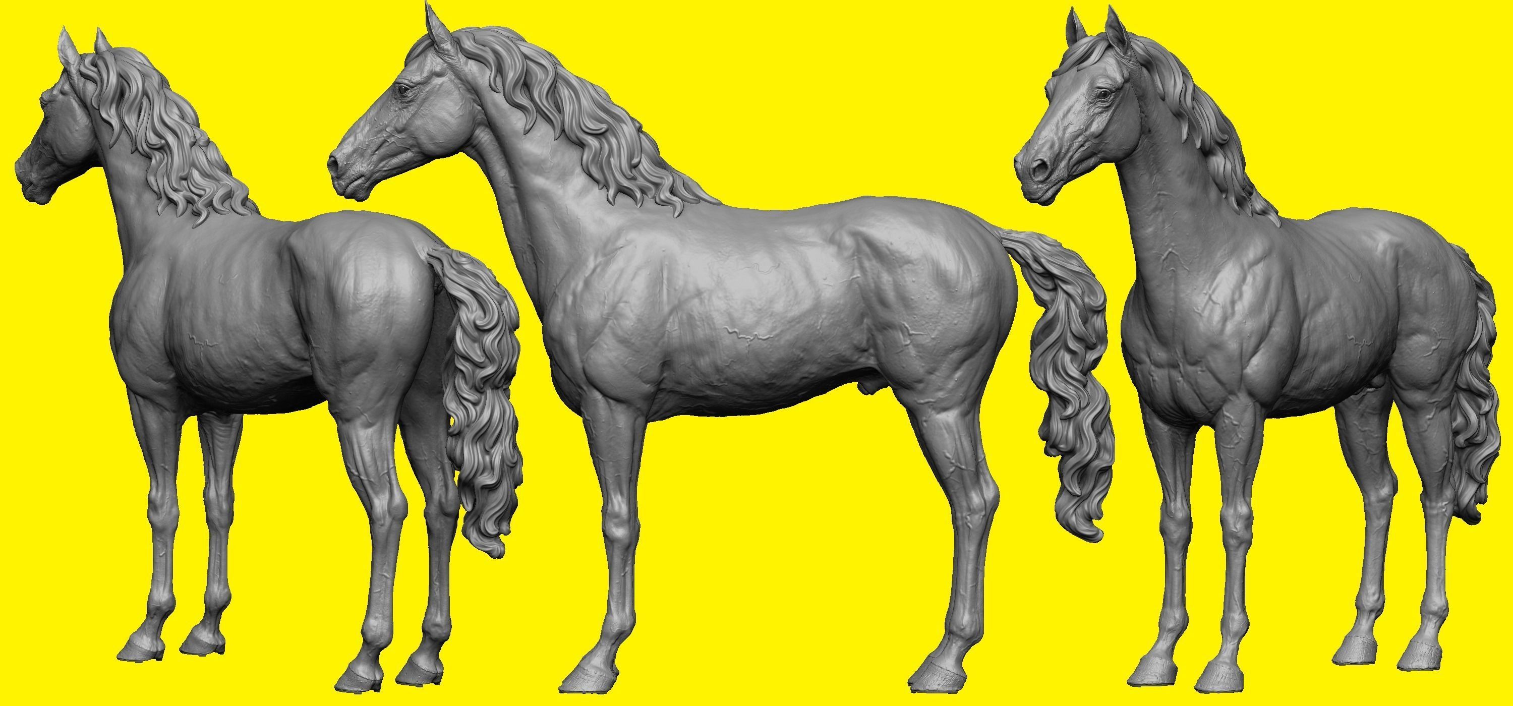 Realistic Horse Basemesh with LOD s 3D model_16