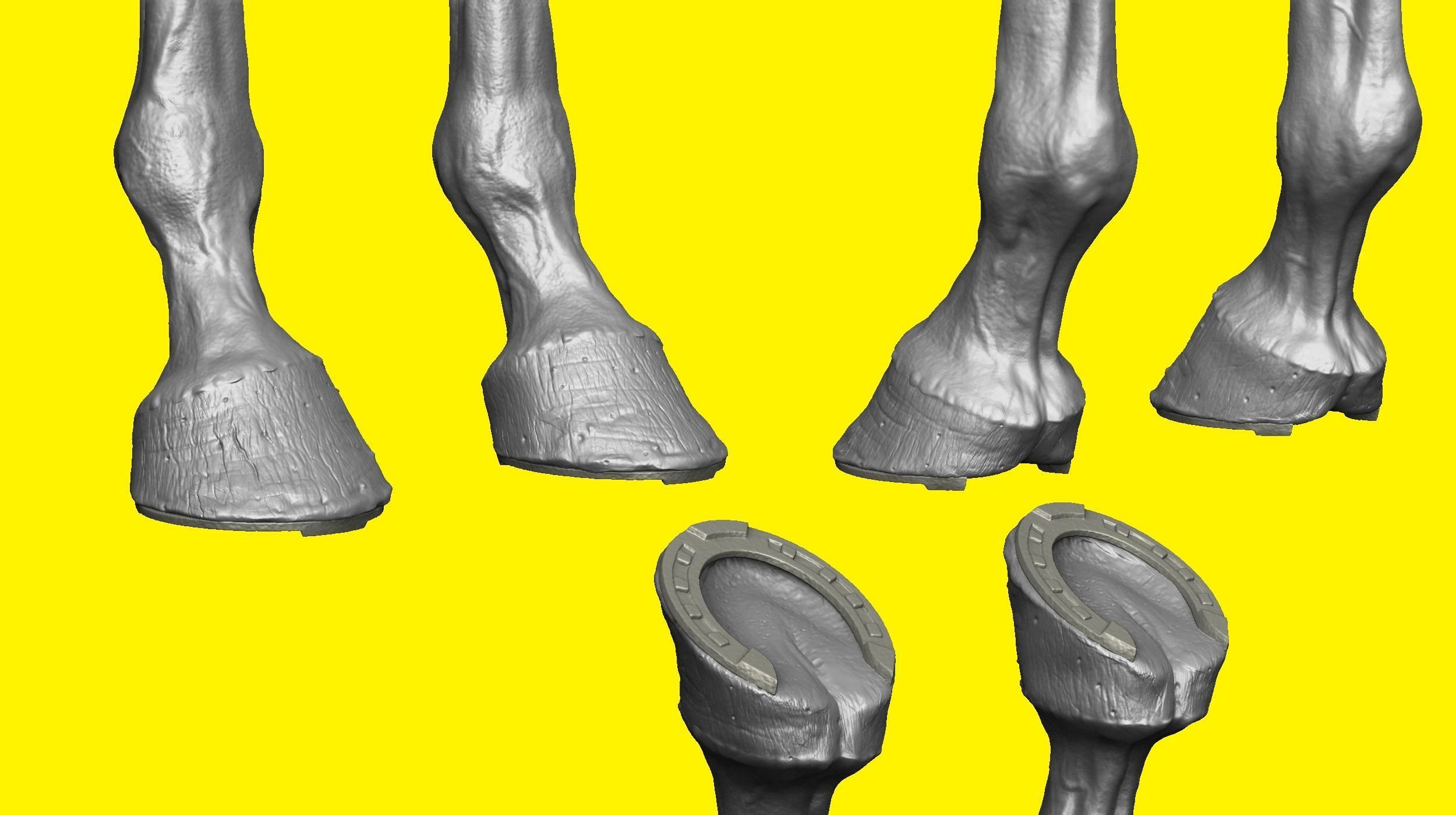 Realistic Horse Basemesh with LOD s 3D model_4