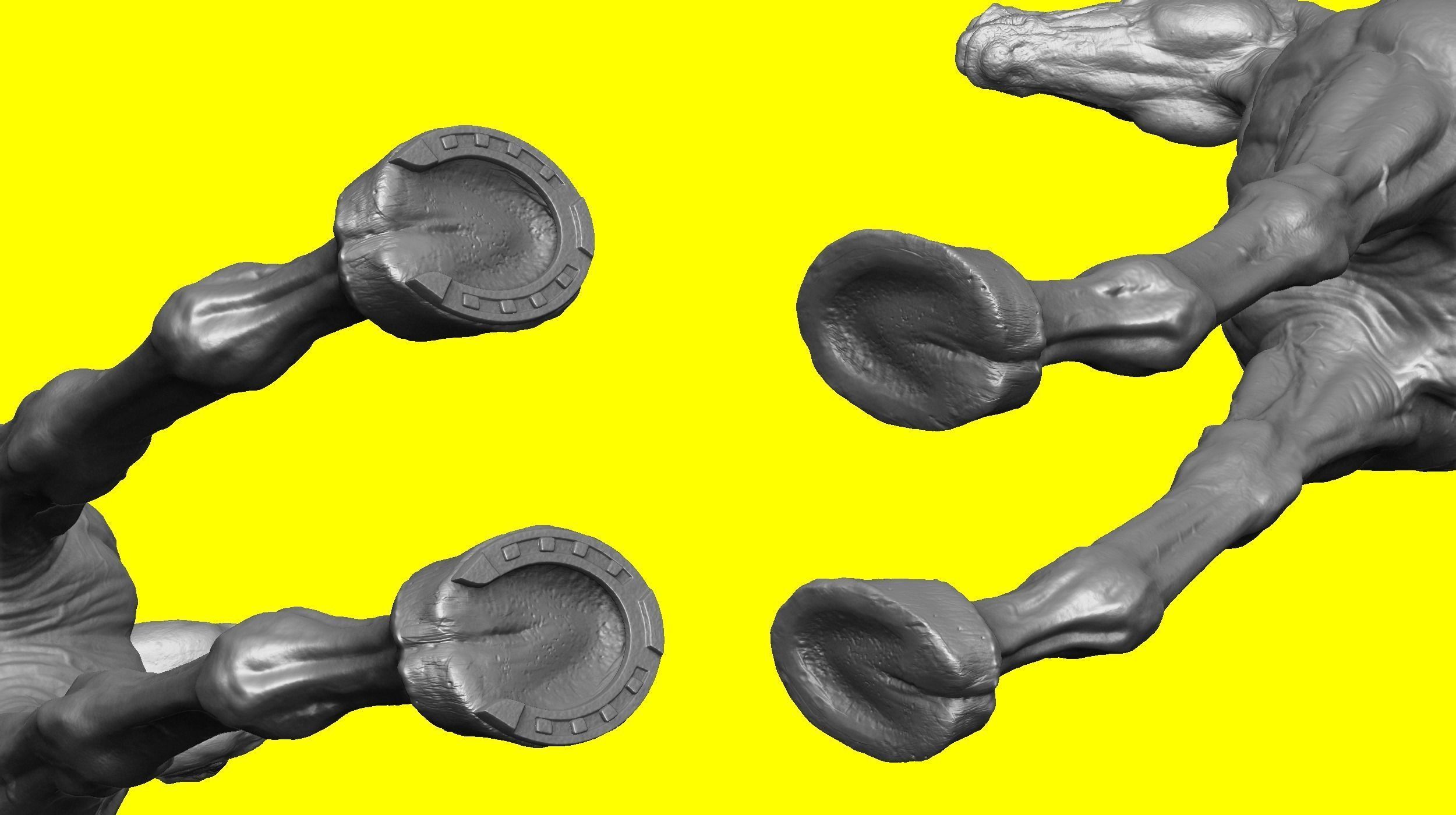 Realistic Horse Basemesh with LOD s 3D model_11