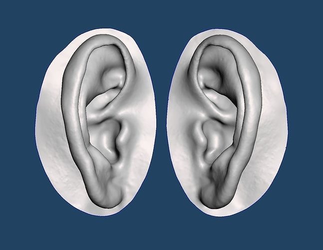 Natural human ear anatomy 04 3D print model