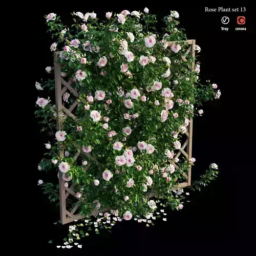 Rose plant set 13 3D model