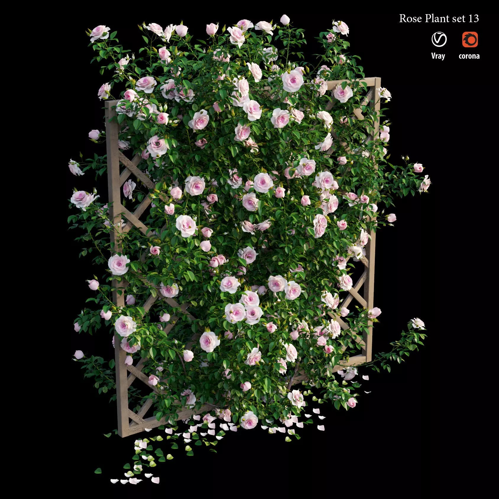 Rose plant set 13 3D model_0