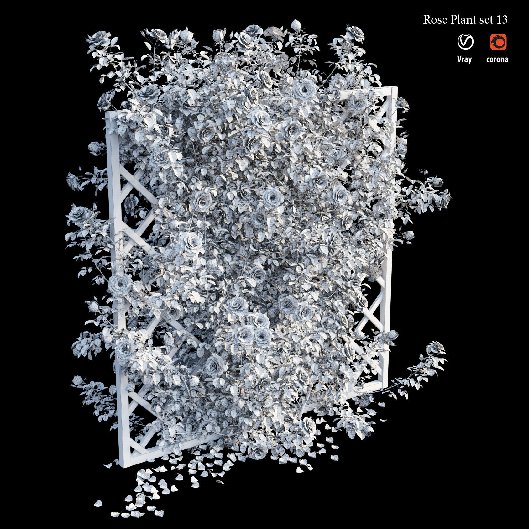 Rose plant set 13 3D model_5