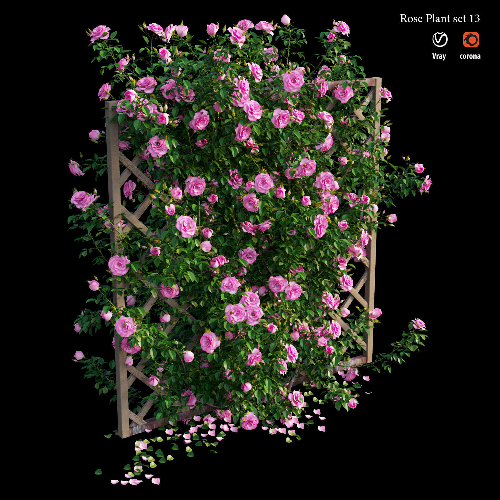 Rose plant set 13 3D model_1