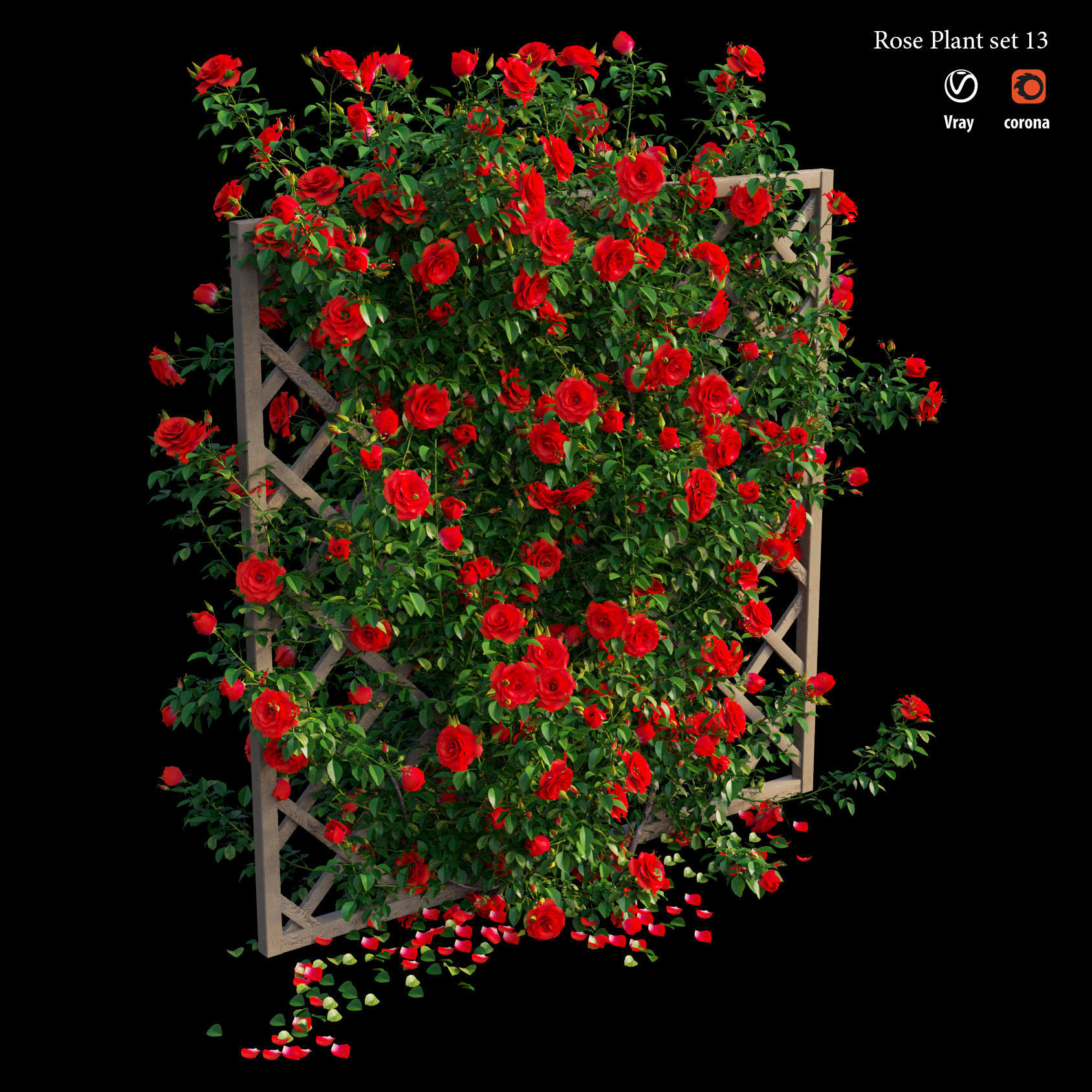 Rose plant set 13 3D model_4