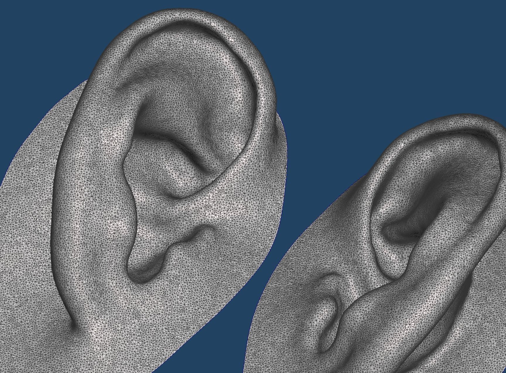 Natural human ear anatomy 07 3D print model_2