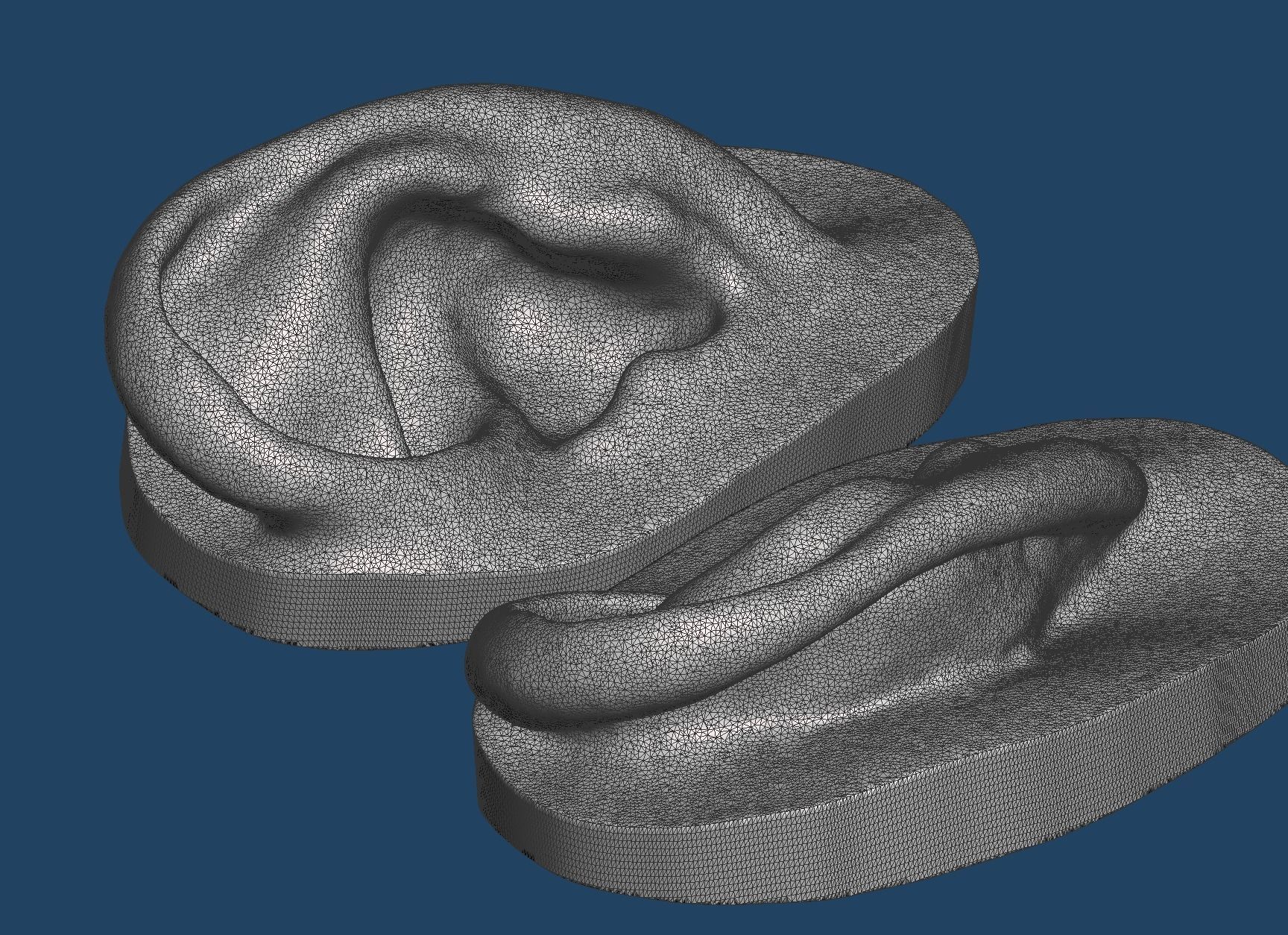 Natural human ear anatomy 07 3D print model_4