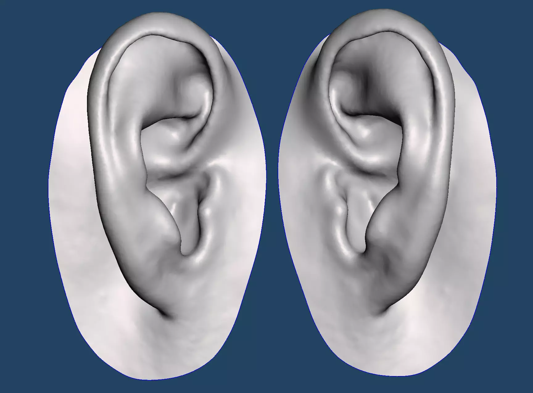 Natural human ear anatomy 07 3D print model_0