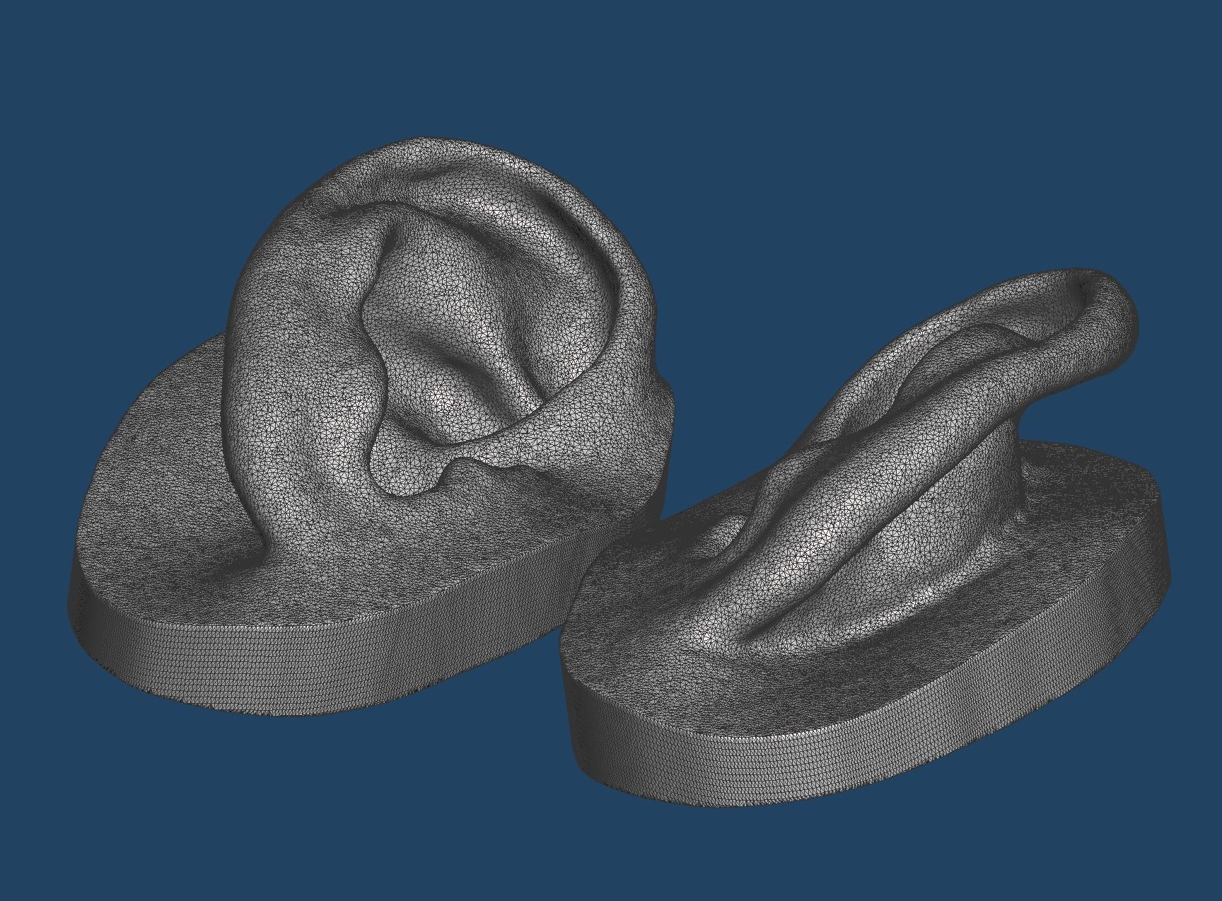 Natural human ear anatomy 07 3D print model_3
