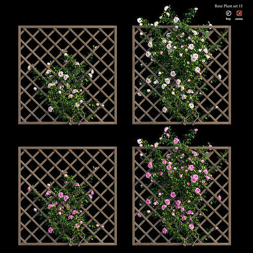 Rose plant set 15 3D model