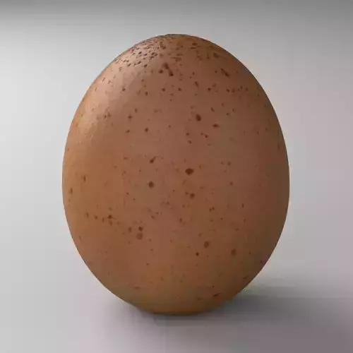 Egg 01 - Photorealistic Scan