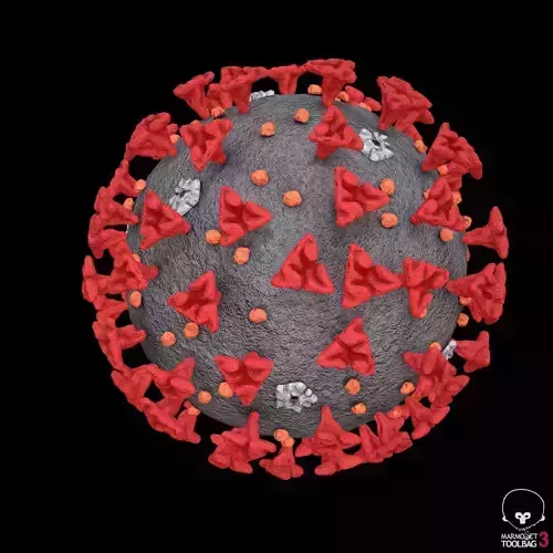 Pbr -Covid 19  model Low-poly 3D model
