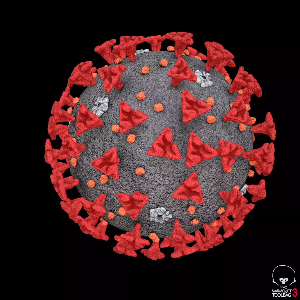 Pbr -Covid 19 model Low-poly 3D model
