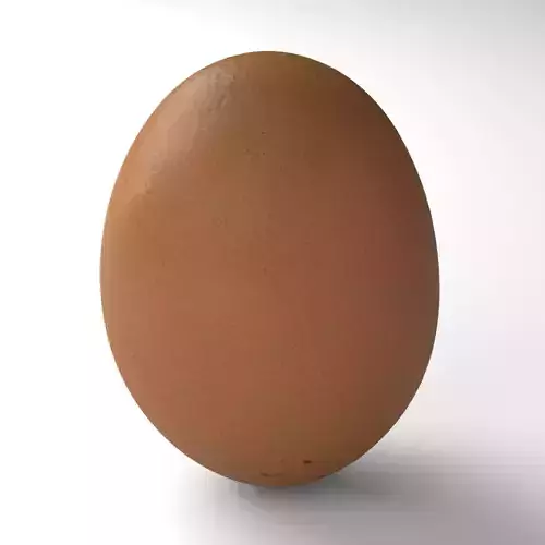 Egg 02 - Photorealistic Scan