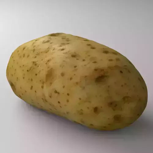 Potato - Photorealistic Scan