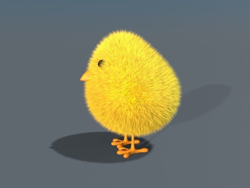 3D Chick - rigged 3D model_6