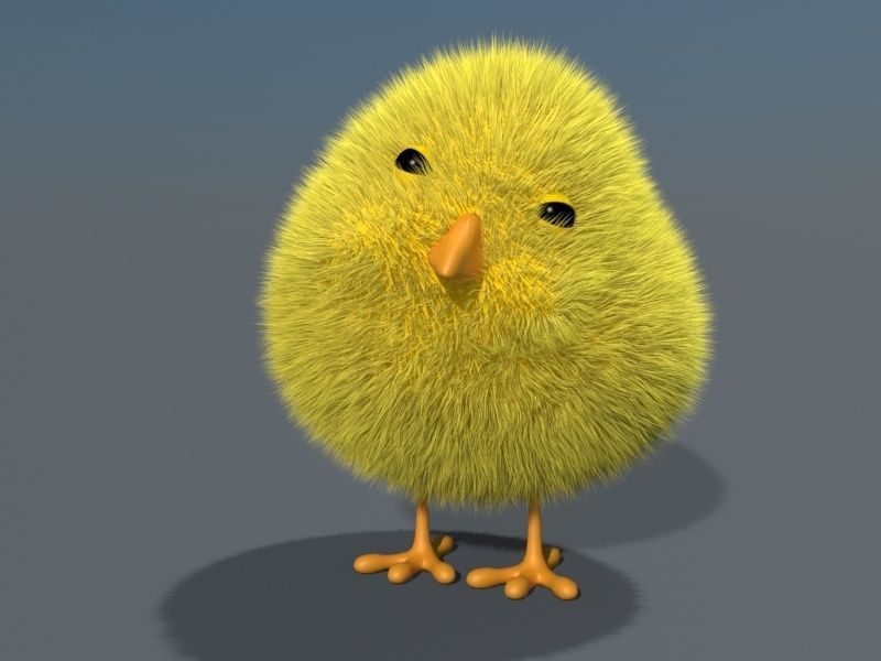 3D Chick - rigged 3D model_4