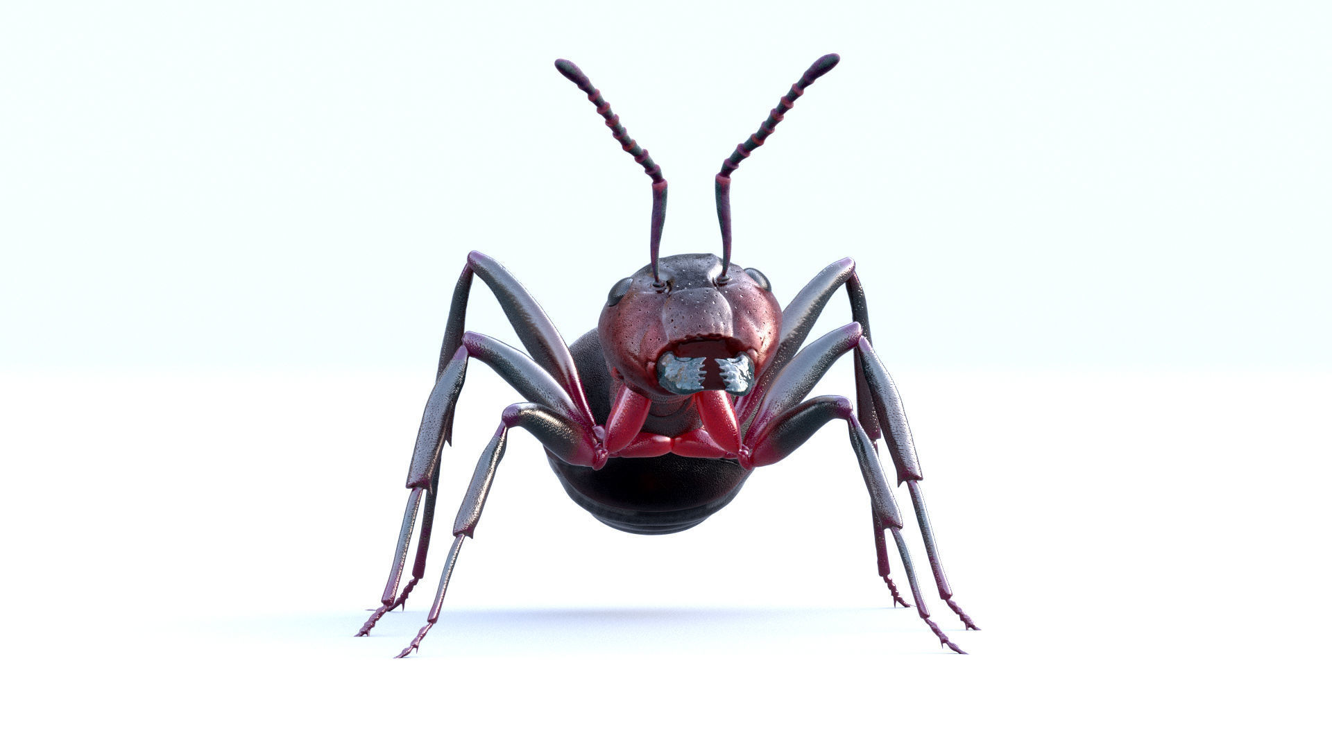 Animated 3d model of an ant with PBR materials 3D model_2