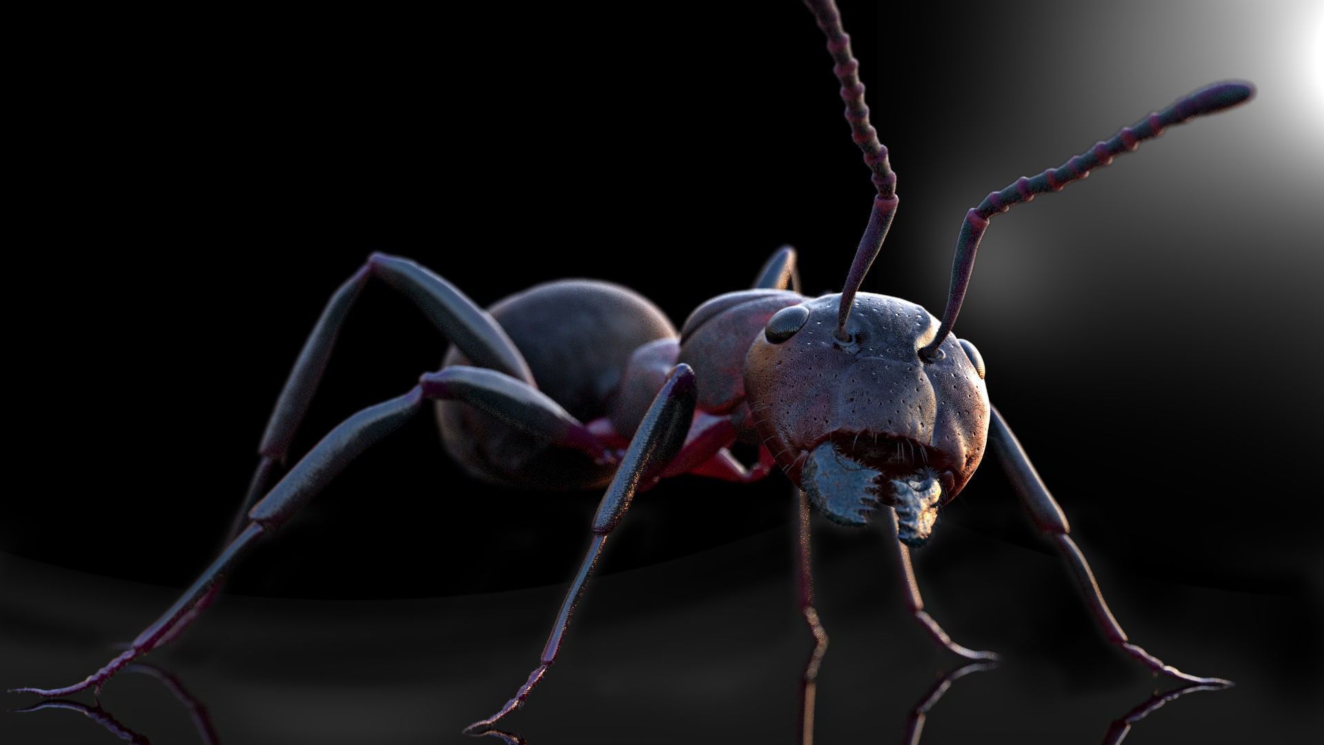 Animated 3d model of an ant with PBR materials 3D model_10