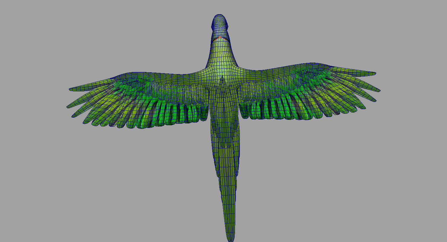 green parrot bird 3d model 3D model_16