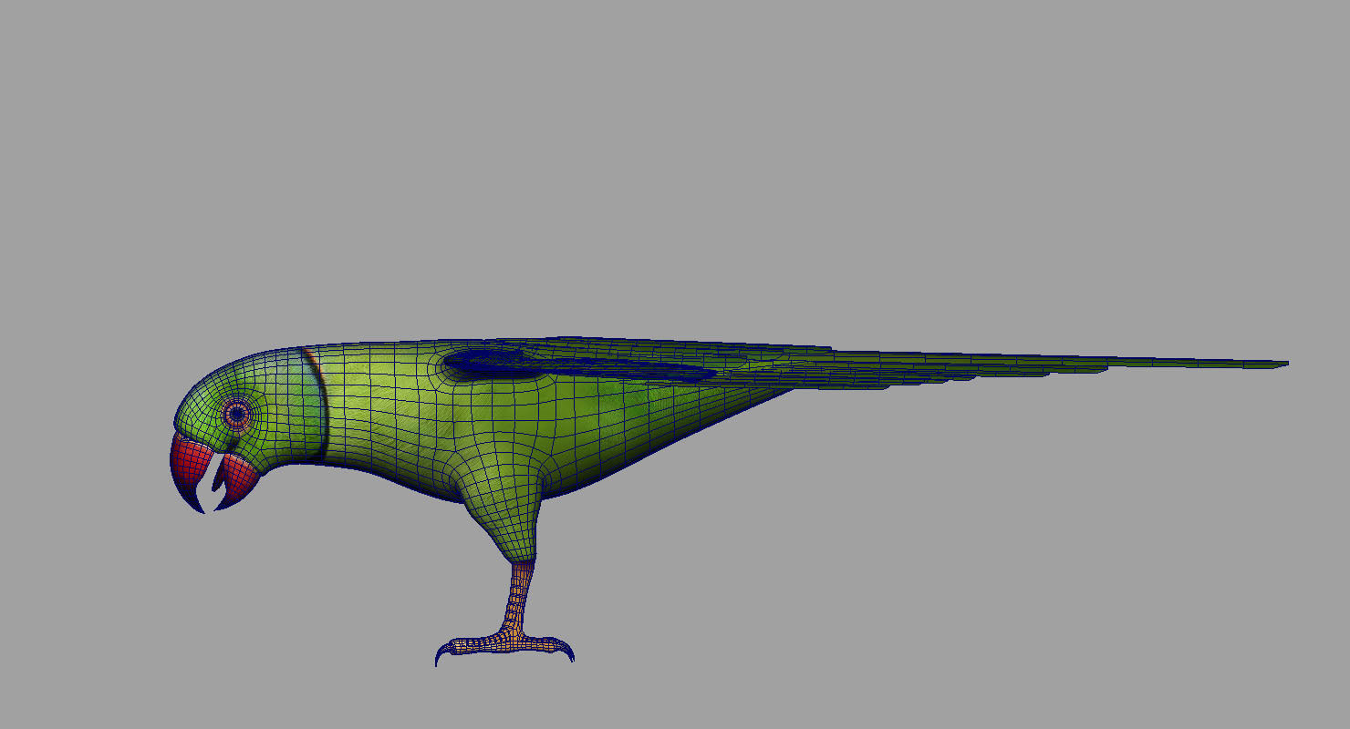 green parrot bird 3d model 3D model_3