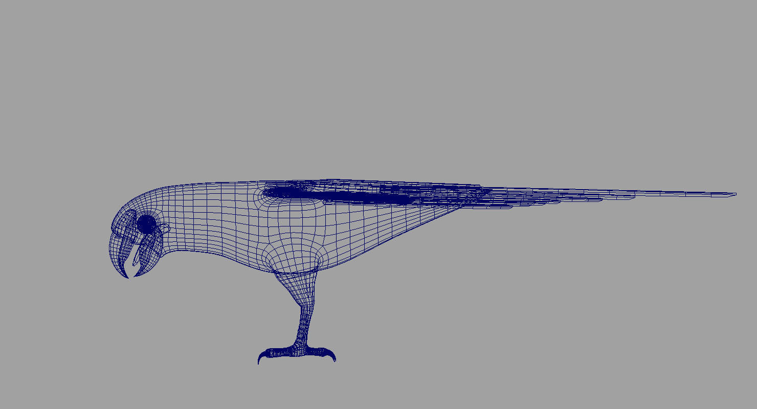 green parrot bird 3d model 3D model_5