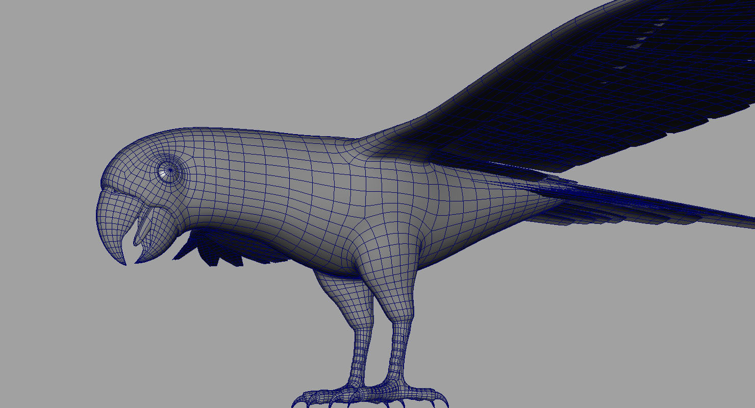 green parrot bird 3d model 3D model_15