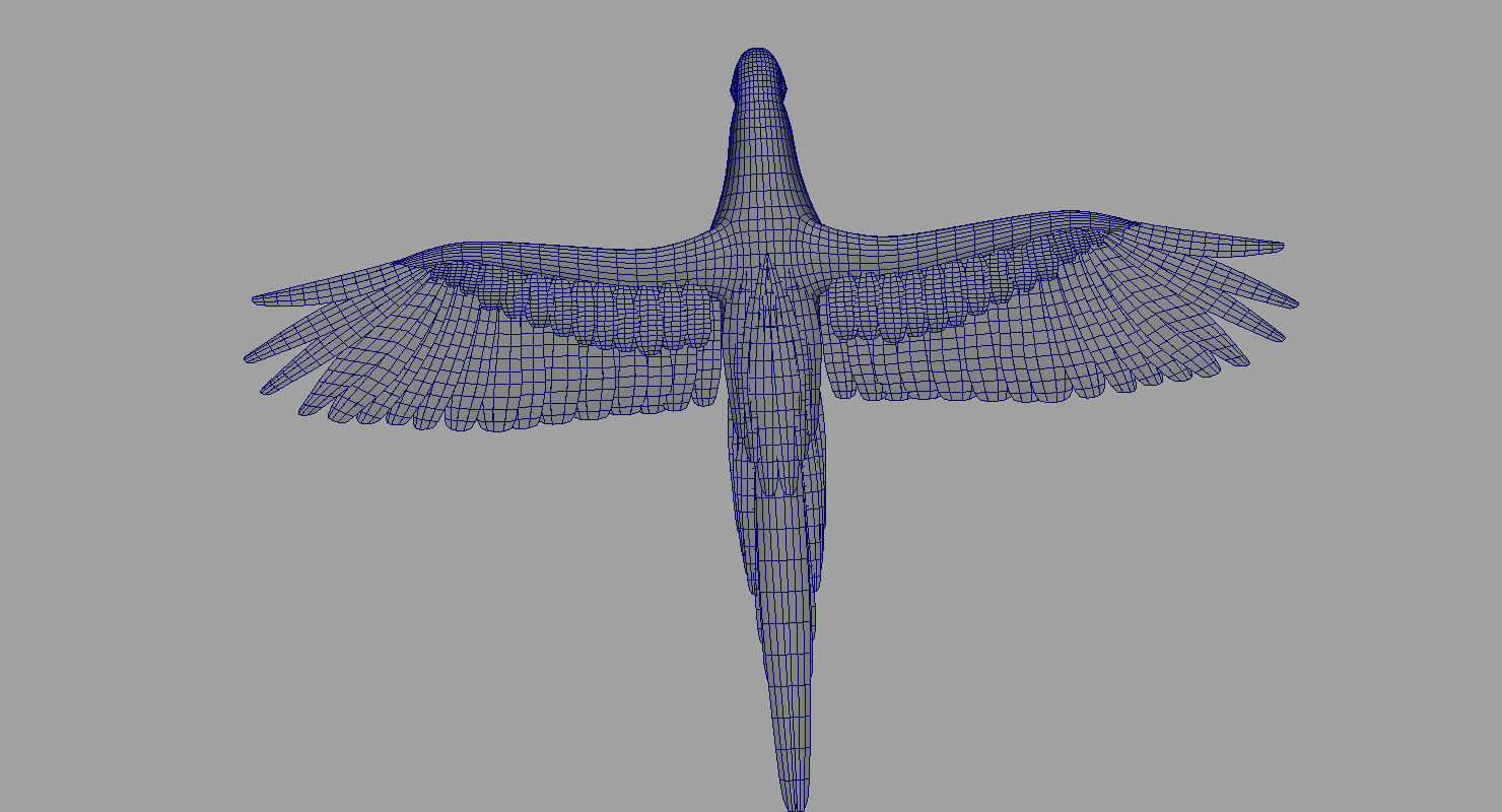 green parrot bird 3d model 3D model_1