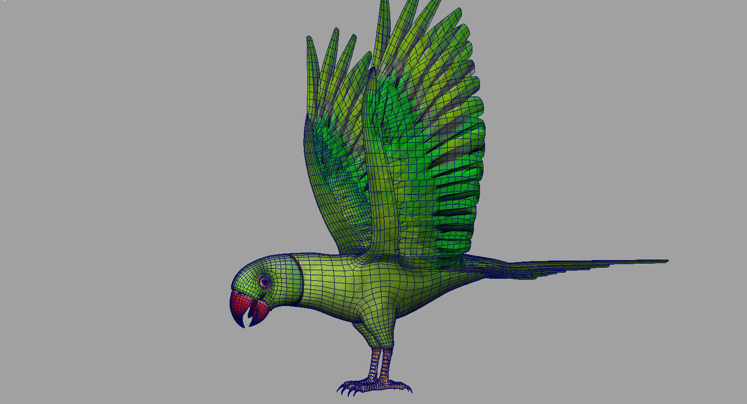 green parrot bird 3d model 3D model_8