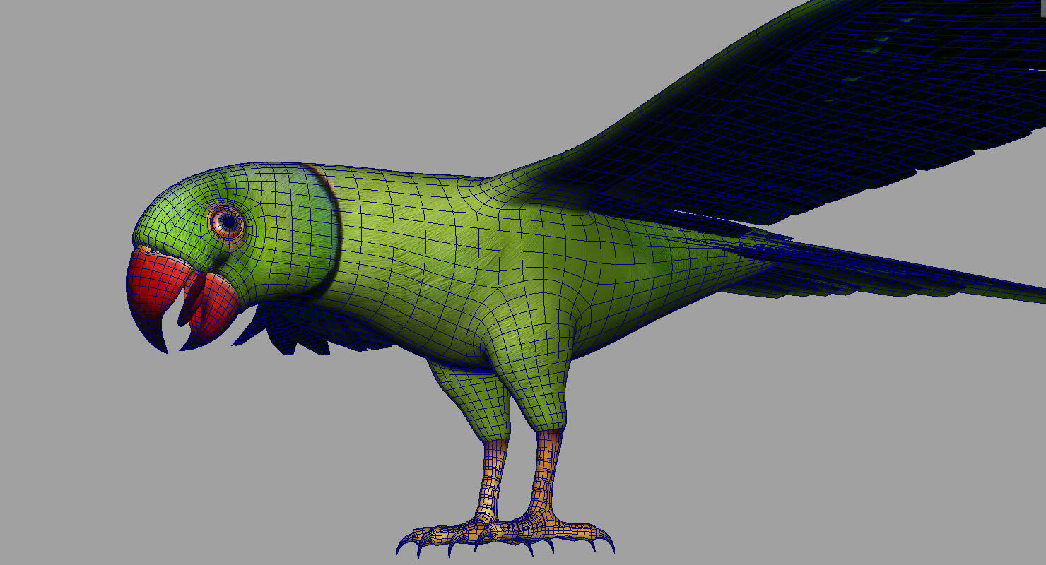green parrot bird 3d model 3D model_14