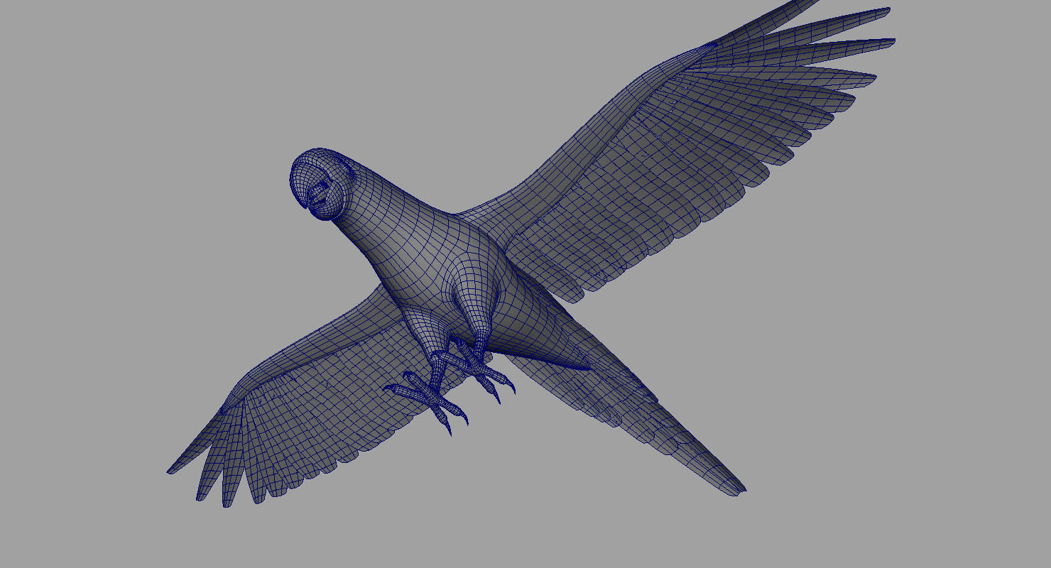 green parrot bird 3d model 3D model_12