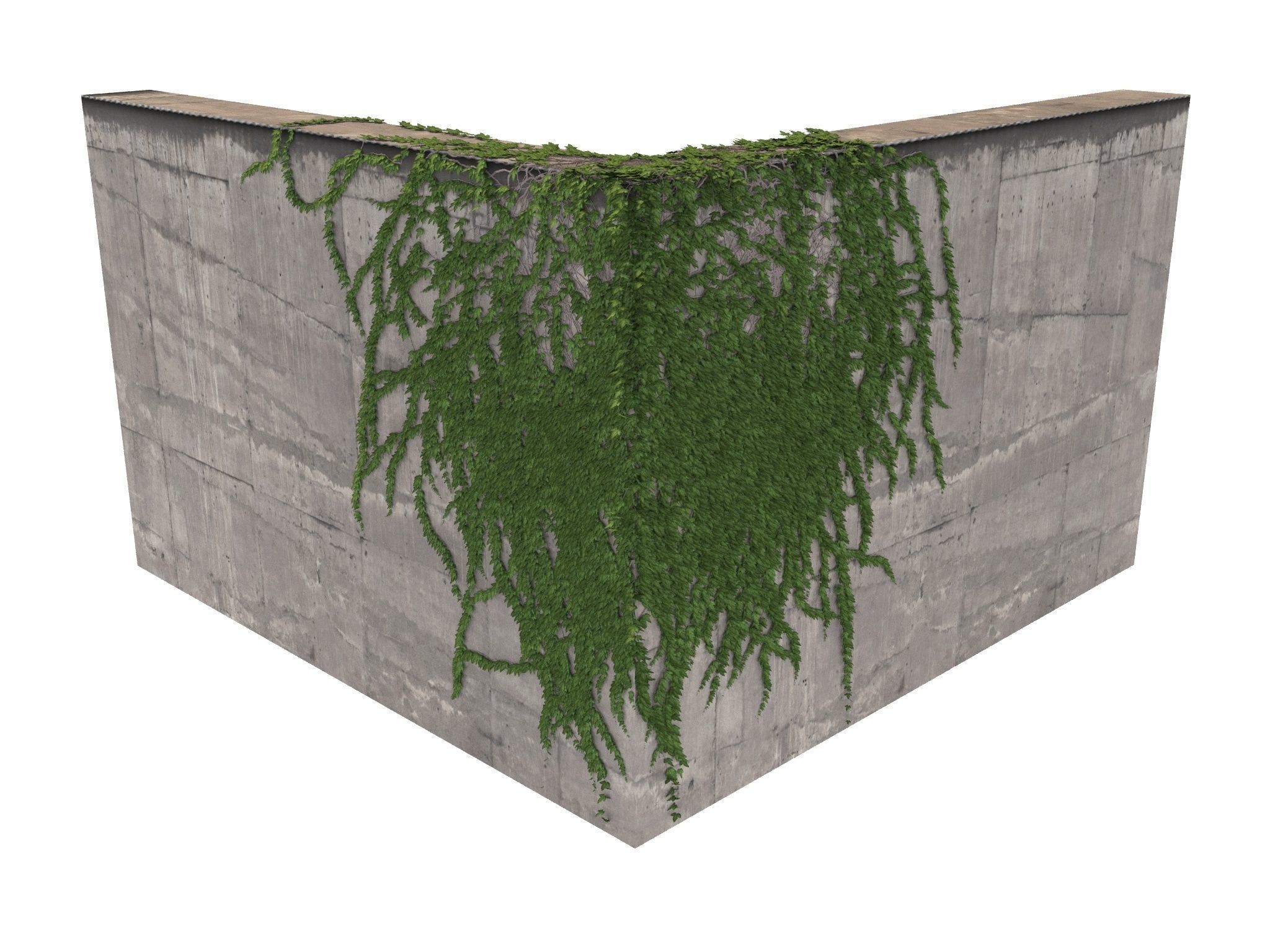 Hanging Ivy Wall Mini Bundle vol 01 3D model_5