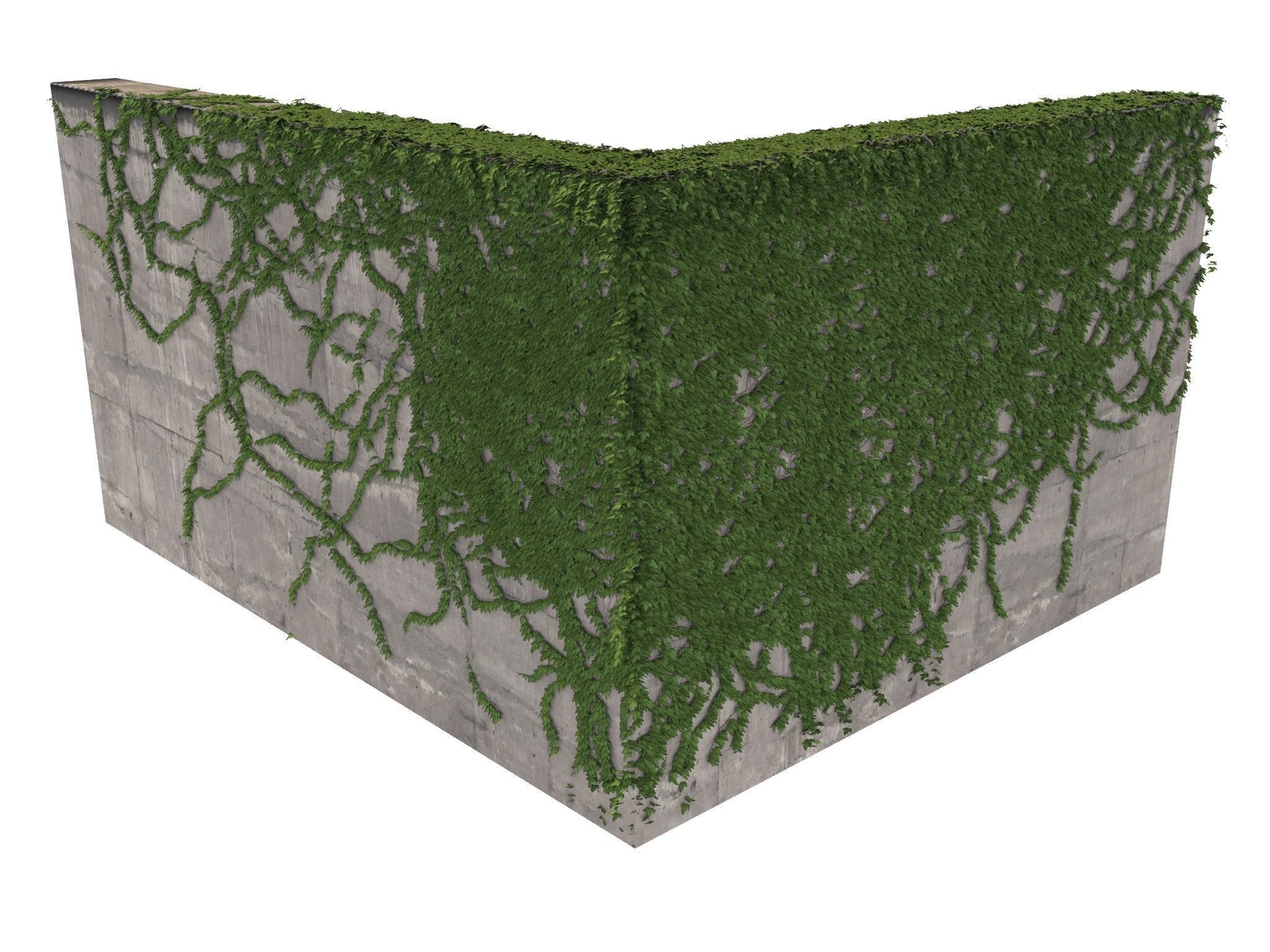 Hanging Ivy Wall Mini Bundle vol 01 3D model_8