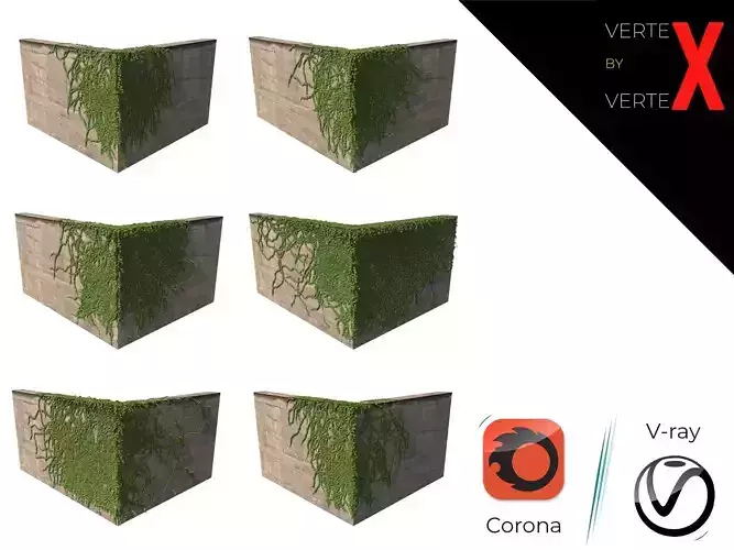 Hanging Ivy Wall Mini Bundle vol 01 3D model Hanging Ivy Wall Mini Bundle vol 01 3D model