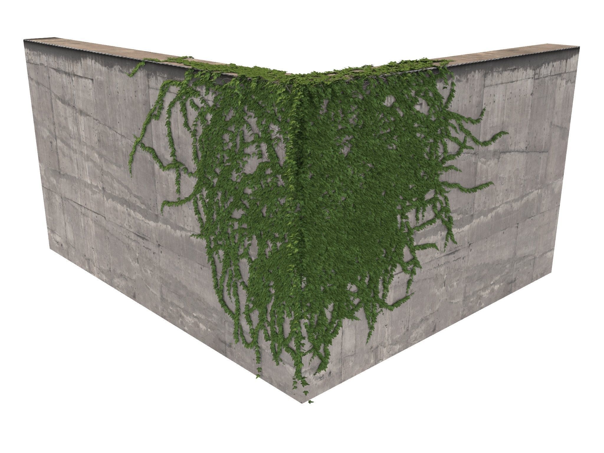 Hanging Ivy Wall Mini Bundle vol 01 3D model_11