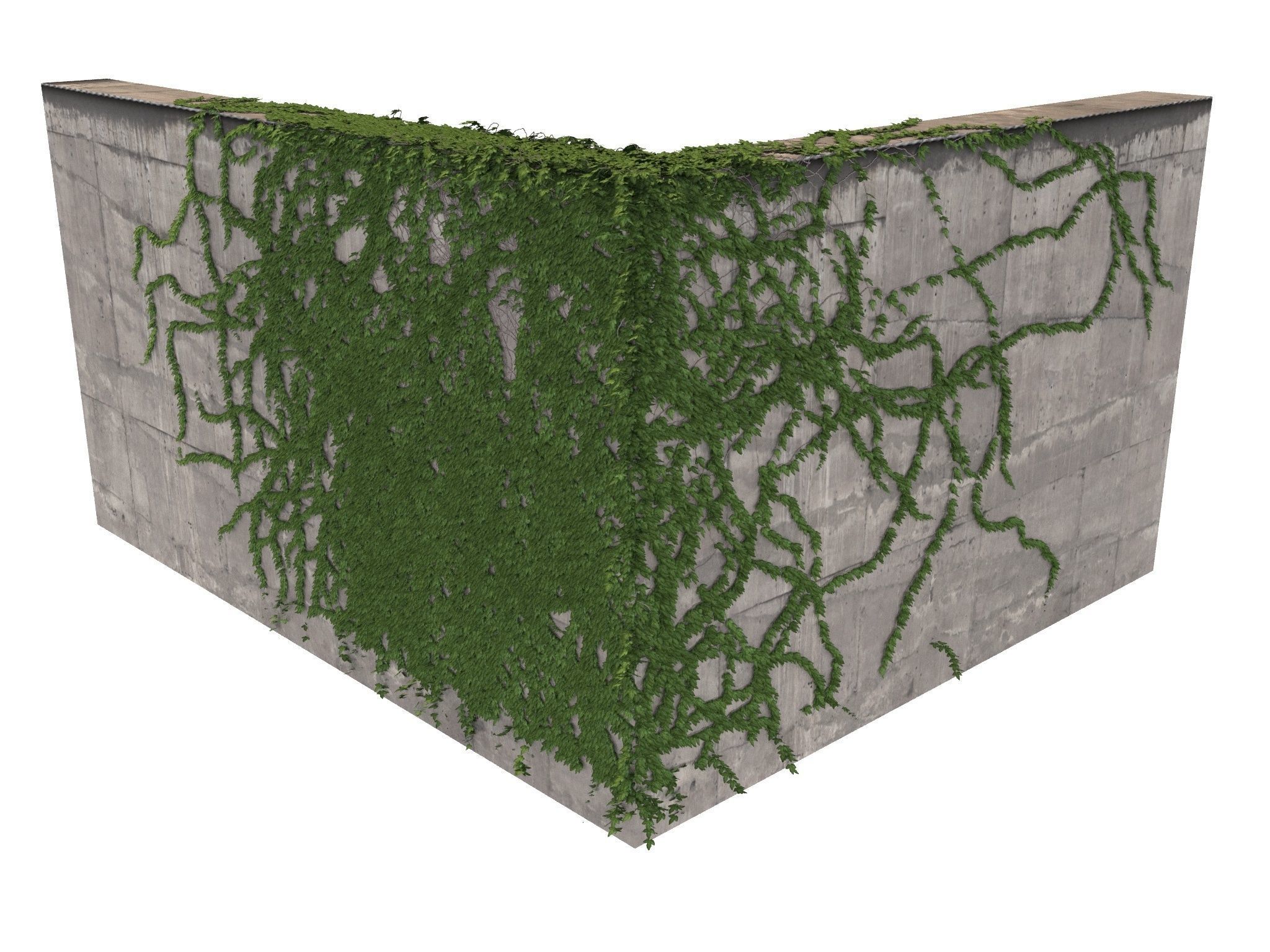 Hanging Ivy Wall Mini Bundle vol 01 3D model_22