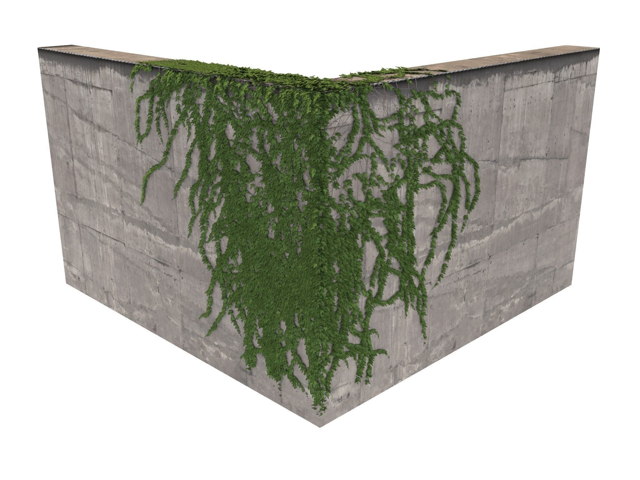 Hanging Ivy Wall Mini Bundle vol 01 3D model_2