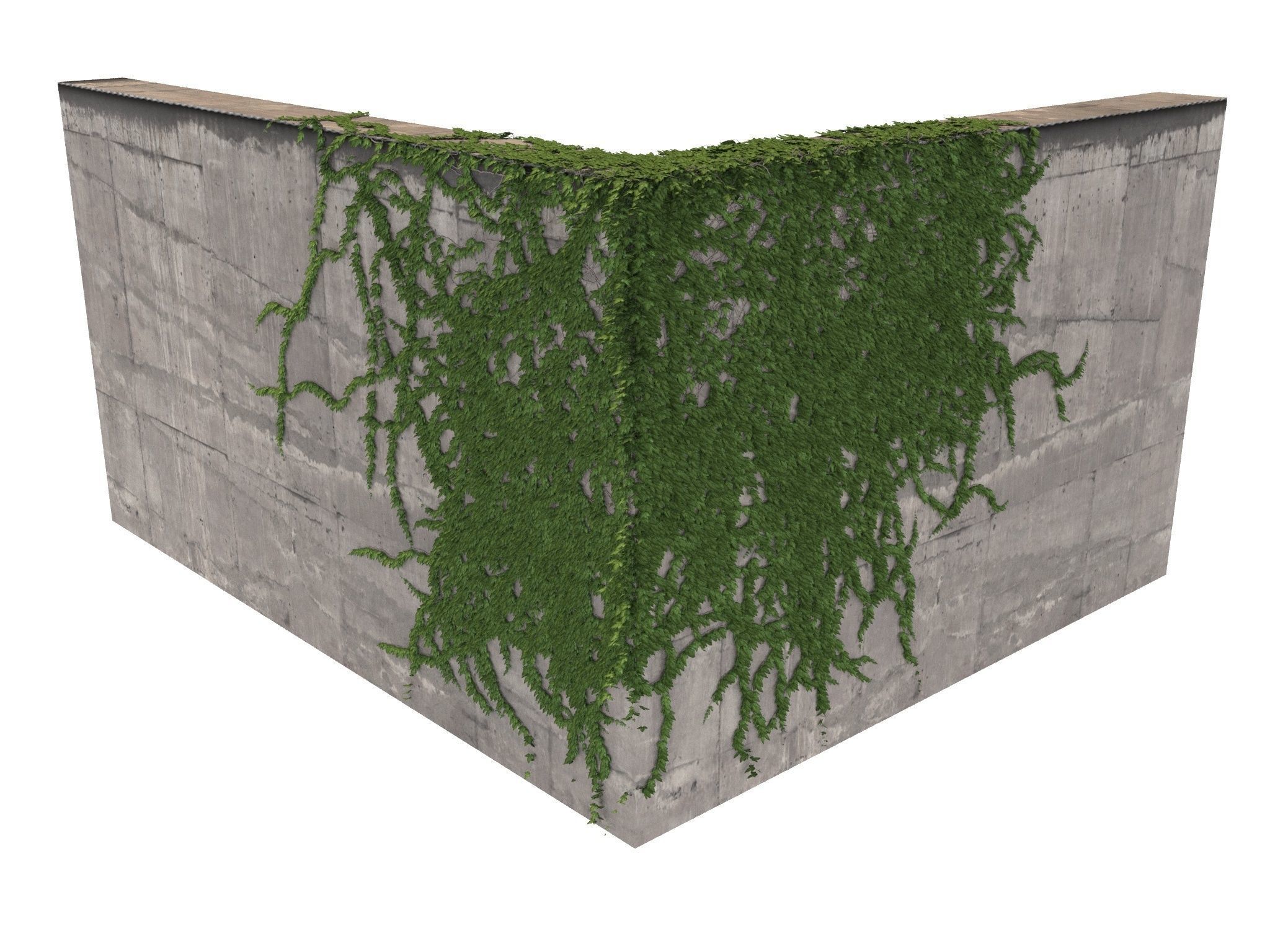 Hanging Ivy Wall Mini Bundle vol 01 3D model_17